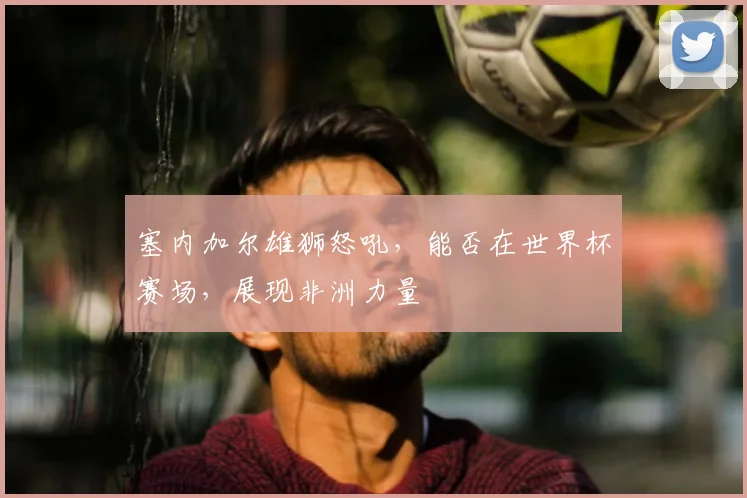 塞内加尔雄狮怒吼,能否在世界杯赛场,展现非洲力量