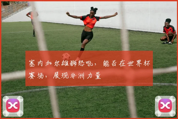 塞内加尔雄狮怒吼,能否在世界杯赛场,展现非洲力量
